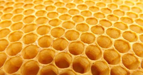 09 trypophobie fee864a1