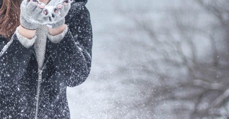 12 winterblues 1d25880e