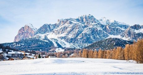 26 vitamin d 7ca7ad98