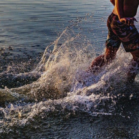 20 entenfloehe 79fcbdb9