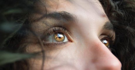 04 geruchssinn 24aaec76