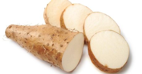 02 yamswurzel 3dd31887