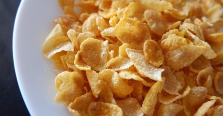 26 zuckerfallen a084ba38