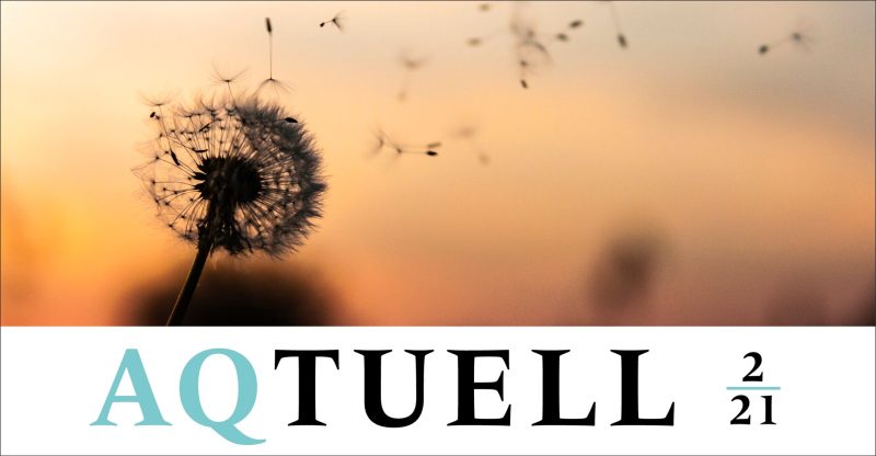 Bildauschnitt aqtuell 2 21 jpg