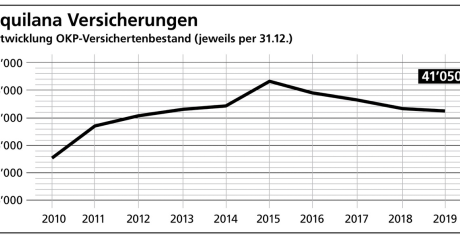 Versichertenbestand 2020